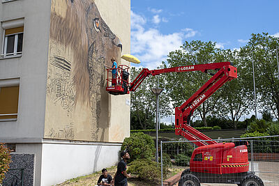 Agrandir l'image (fenêtre modale)