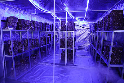 Agrandir l'image (fenêtre modale)