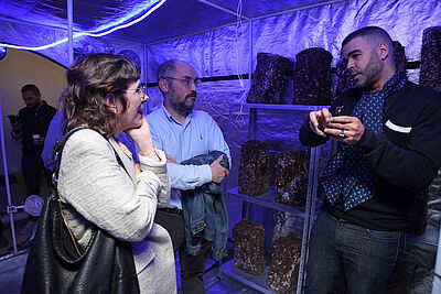 Agrandir l'image (fenêtre modale)