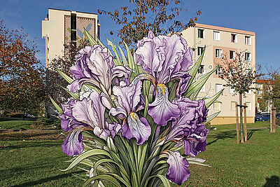 Agrandir l'image (fenêtre modale)