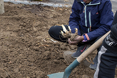 Agrandir l'image (fenêtre modale)
