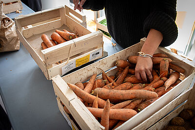 Agrandir l'image (fenêtre modale)