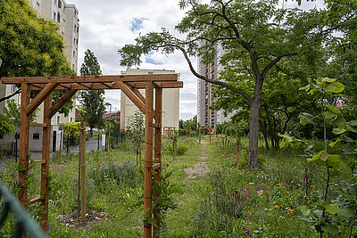 Agrandir l'image (fenêtre modale)