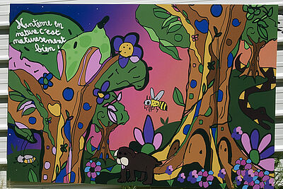 Agrandir l'image (fenêtre modale)