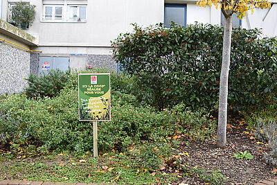 Agrandir l'image (fenêtre modale)