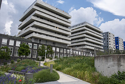 Agrandir l'image (fenêtre modale)