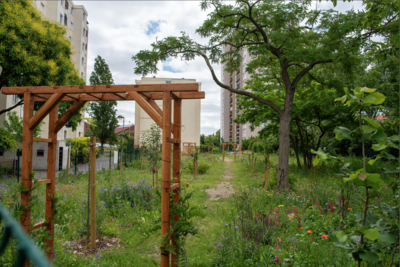 Agrandir l'image (fenêtre modale)