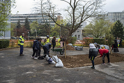 Agrandir l'image (fenêtre modale)
