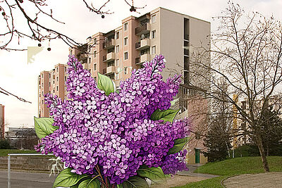 Agrandir l'image (fenêtre modale)