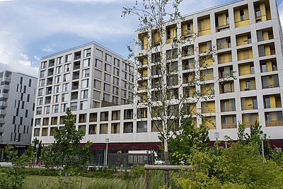 Agrandir l'image (fenêtre modale)