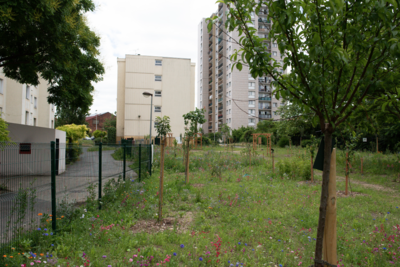 Agrandir l'image (fenêtre modale)