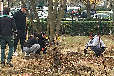 Agrandir l'image (fenêtre modale)