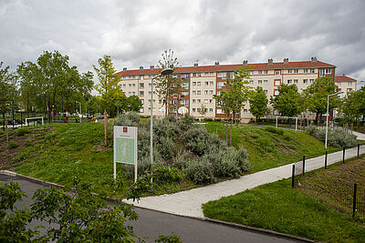 Agrandir l'image (fenêtre modale)