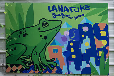 Agrandir l'image (fenêtre modale)