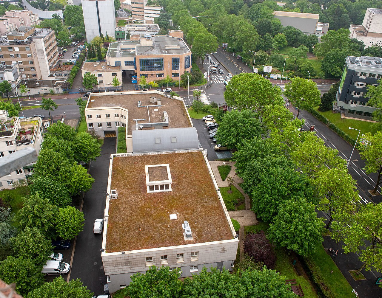 Agrandir l'image (fenêtre modale)