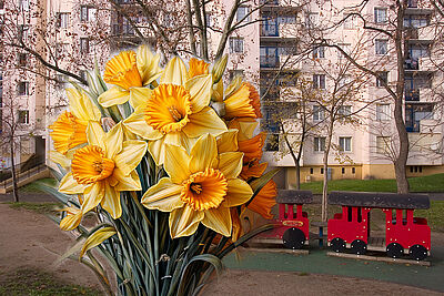 Agrandir l'image (fenêtre modale)