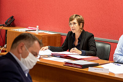 Agrandir l'image (fenêtre modale)