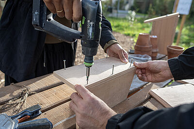 Agrandir l'image (fenêtre modale)