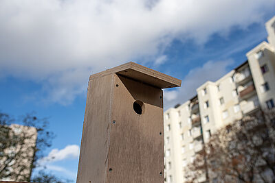 Agrandir l'image (fenêtre modale)