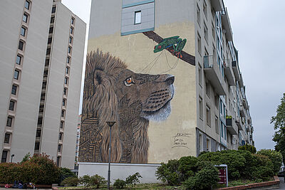 Agrandir l'image (fenêtre modale)