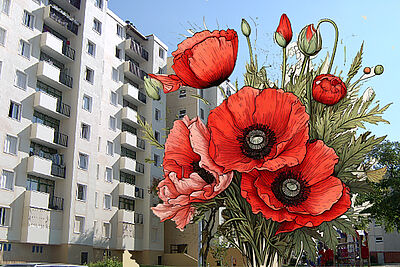 Agrandir l'image (fenêtre modale)