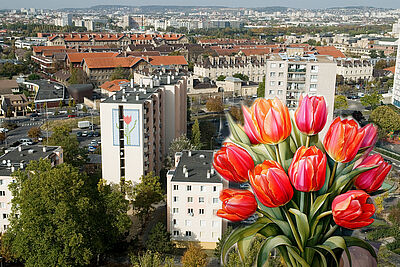 Agrandir l'image (fenêtre modale)