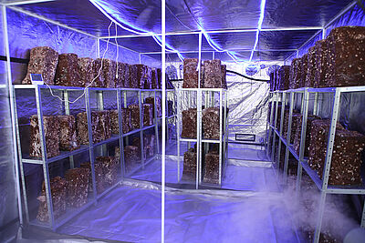 Agrandir l'image (fenêtre modale)