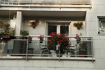 Agrandir l'image (fenêtre modale)