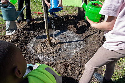 Agrandir l'image (fenêtre modale)