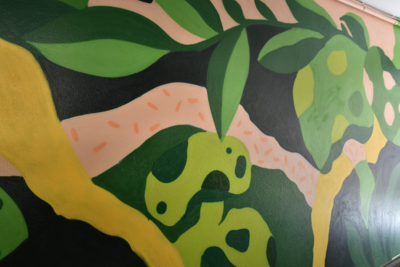 Agrandir l'image (fenêtre modale)