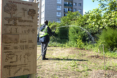 Agrandir l'image (fenêtre modale)