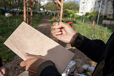 Agrandir l'image (fenêtre modale)