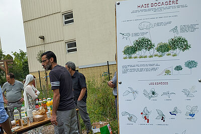 Agrandir l'image (fenêtre modale)