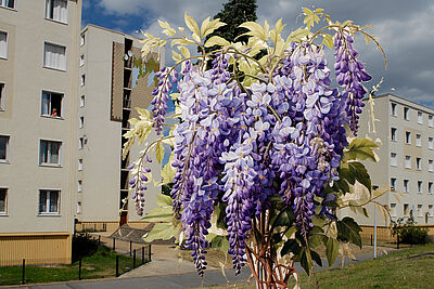 Agrandir l'image (fenêtre modale)