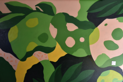 Agrandir l'image (fenêtre modale)