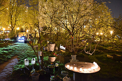 Agrandir l'image (fenêtre modale)