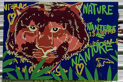 Agrandir l'image (fenêtre modale)