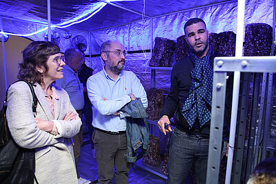 Agrandir l'image (fenêtre modale)