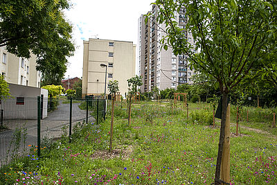 Agrandir l'image (fenêtre modale)