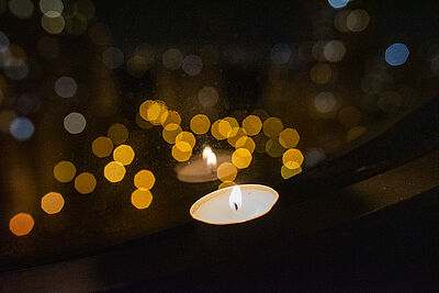 Agrandir l'image (fenêtre modale)