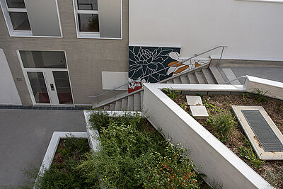 Agrandir l'image (fenêtre modale)